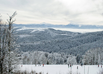 滑雪者从山林中下来，这是山地运动滑雪的主题，布科维尔卡帕西亚人，乌克兰