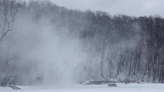 森林中的暴风雪一阵强风在山腰冬季的背景下驱动着一根雪柱