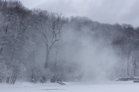 森林中的暴风雪一阵强风在山腰冬季的背景下驱动着一根雪柱