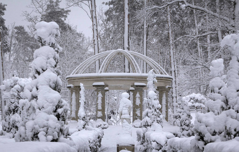 美丽的殖民地在雪地公园布查乌克兰