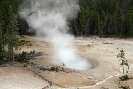 怀俄明州耶洛斯顿国家公园硫磺釜泡泡蒸