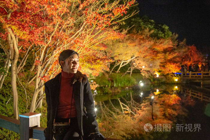 日本名古屋秋季公园景观枫树名为 纳巴纳无佐藤 夜间光照 日本最大的照明 公园之一 美丽的灯光装饰在生机勃勃的秋叶上照片 正版商用图片16cygc 摄图新视界