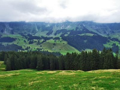 瑞士阿彭策尔奥塞尔罗登州奥斯施威兹的山丘森林和牧场