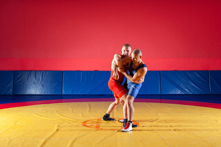 两个穿着蓝色和红色摔跤紧身衣的强壮摔跤手正在体育馆的黄色摔跤地毯上摔跤和做一个复杂的摔跤。 正在做格斗的年轻人。