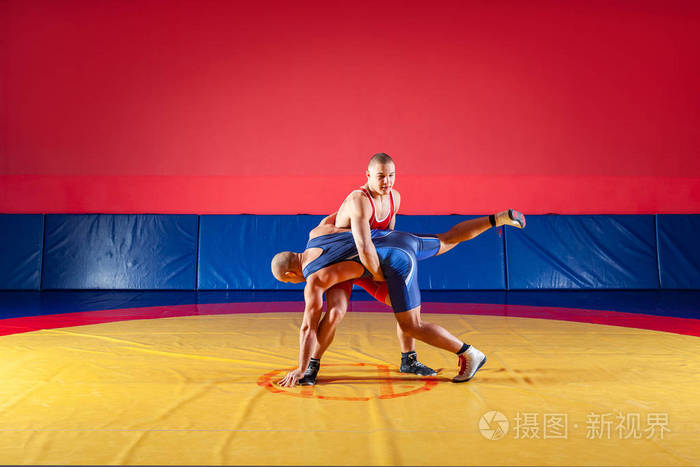 两个穿着蓝色和红色摔跤紧身衣的强壮摔跤手正在体育