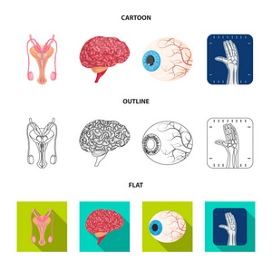 物体和人类符号的孤立对象。身体和医学股票向量例证的汇集