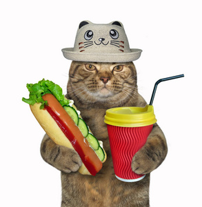 戴着滑稽帽子的猫抱着一只热狗和一杯塑料咖啡。 白色背景。