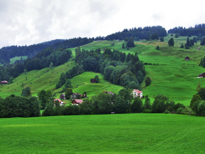 瑞士阿彭策尔奥塞尔罗登州奥斯威茨州风景如画的山丘森林和牧场