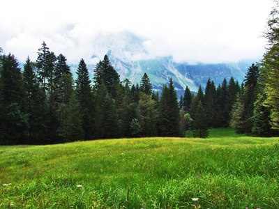 瑞士阿彭策尔奥塞尔罗登州奥斯威茨州风景如画的山丘森林和牧场