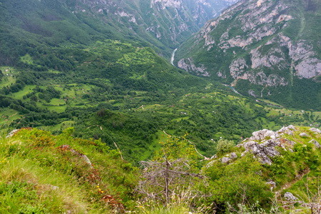 高山绿深峡谷全景