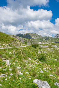 黑山共和国国家公园群山之间的风景如画的道路