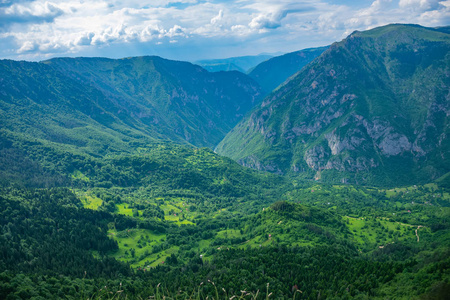 高山绿深峡谷全景