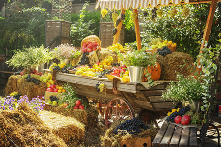 蔬菜展示季节性农产品市场商品展示.