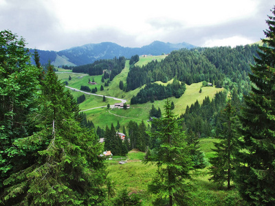 瑞士阿彭策尔奥塞尔罗登州奥斯威茨地区亚高山森林
