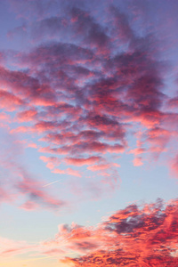 日落时的粉红色云
