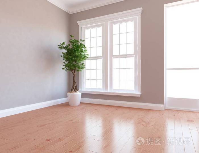 一个白色的空斯堪的纳维亚房间内部植物和窗户在木地板上家北欧内部