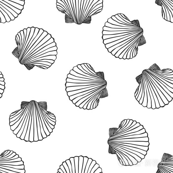 手绘贝壳图案矢量插图