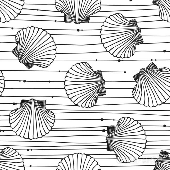 手绘贝壳图案矢量插图