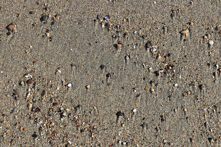 海滩美女背景。 湿沙上有污渍的不同石头。 稀有卵石背景。