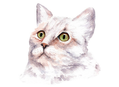 有明亮眼睛的猫的水彩画