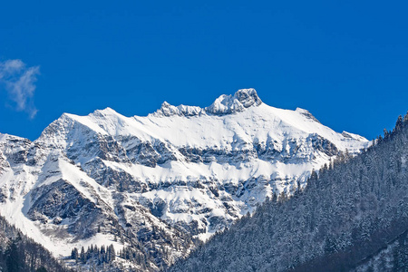 瑞士阿尔卑斯山瑞士的冬天