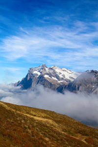 丛林地区的威特霍恩山