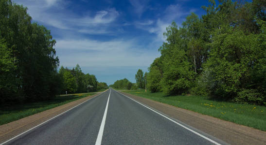 春天马路宽阔的马路,绿树和蓝天照片