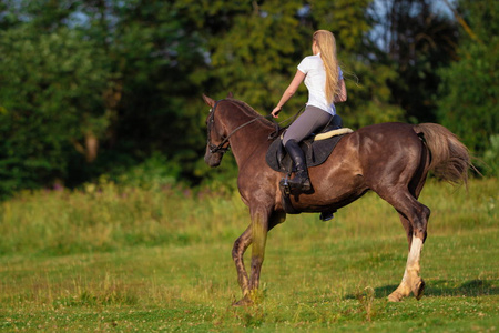 农场的女人图片