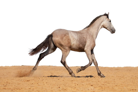 怎么进校友农场图片