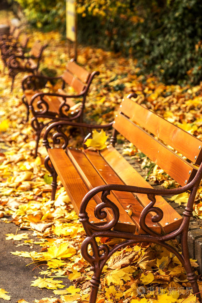 木凳从城市公园秋天五颜六色的落叶与阳光明媚的秋日秋天的城市公园