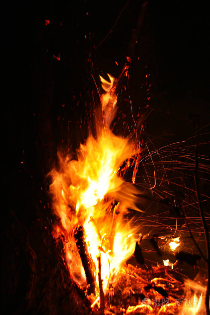 森林大火. 倒下的树在地面上燃烧大量的烟雾时,野火.