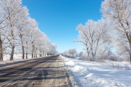 白雪覆盖的冬季道路。 雪覆盖道路一侧霜雪中的树木。 在寒冷阳光明媚的冬日，明亮的雪景
