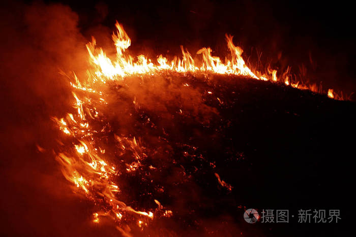 倒下的树在地面上燃烧大量的烟雾时,野火.