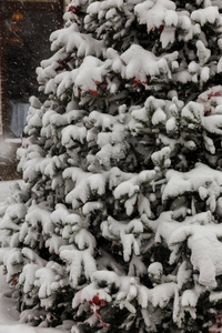 冬天城市街道上大雪纷飞。汽车上覆盖着雪，路滑..冬天的恶劣天气大雪和暴风雪。行人下大雪.冬天和暴风雪，下雪