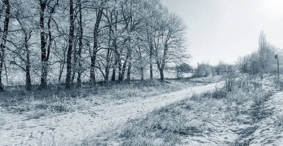 白雪覆盖的冬季道路。白雪覆盖的道路旁的树木。在寒冷晴朗的冬日，明亮的雪景