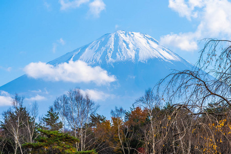 日本秋季环湖枫叶树的富士山美景