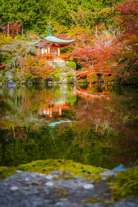 日本京都，秋季有五颜六色的树木和树叶的美丽的大宫寺