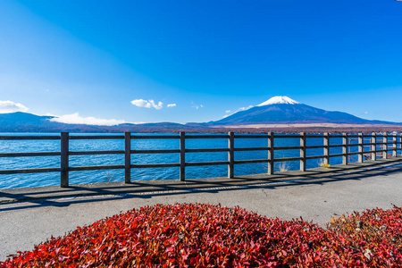 日本雅明子湖周围富士山的美丽景观