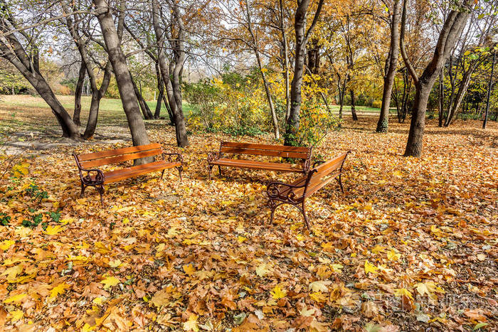 木凳从城市公园秋天，五颜六色的落叶与阳光明媚的秋日。 秋天的城市公园
