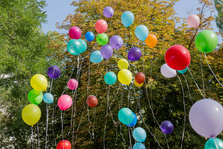 五彩缤纷的五彩充气球在节日期间，在树木和蓝天的背景下在空中飞翔。 从五颜六色的气球在天空中敬礼。 愉快的假期背景