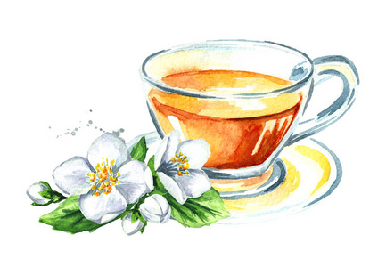 茉莉花茶和茉莉花. 水彩画手绘插图分离白色背景照片