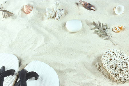 白色的沙子和贝壳。海滩的背景。垂直视图, 特写。和背景与甲壳类动物的壳。复制空间。文本的位置。白色石板。的组成