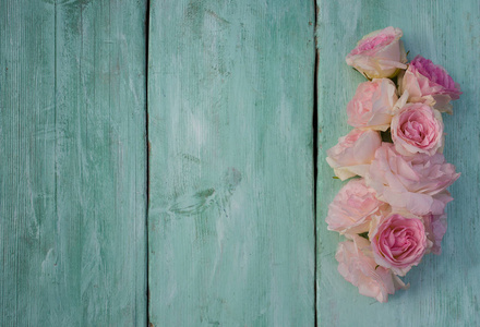 绿松石木表面美丽的粉红色花园玫瑰