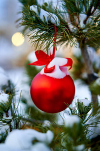 圣诞红球和绿色云杉树枝。圣诞装饰品