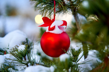 圣诞红球和绿色云杉树枝。圣诞装饰品