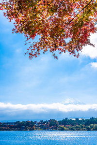 秋季环湖枫叶树的富士山美景