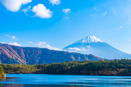 日本大林湖边枫叶树的富士山美景