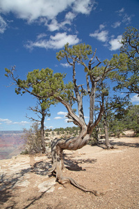 Grand Canyon34