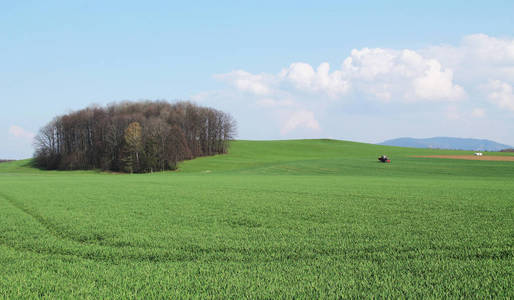 春天有种庄稼的绿田和拖拉机骑在上面