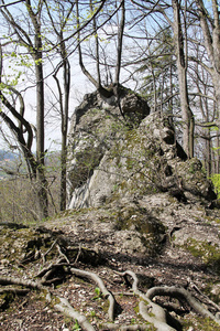 捷克共和国森林中的拉斯库夫卡门岩